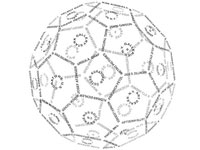 Am Ball | Siebdruck