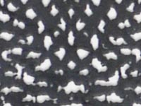 Junge Lunge | Detail