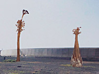 2Baumgrund | Detail