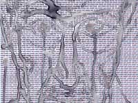 Selbst mit Leid | Detail
