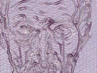 Selbst mit Leid II | Detail